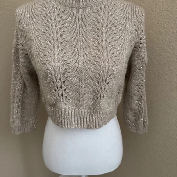 Brunello Cucinelli Cashmere Sequined Cropped Sweater XS - Picture 3 of 13